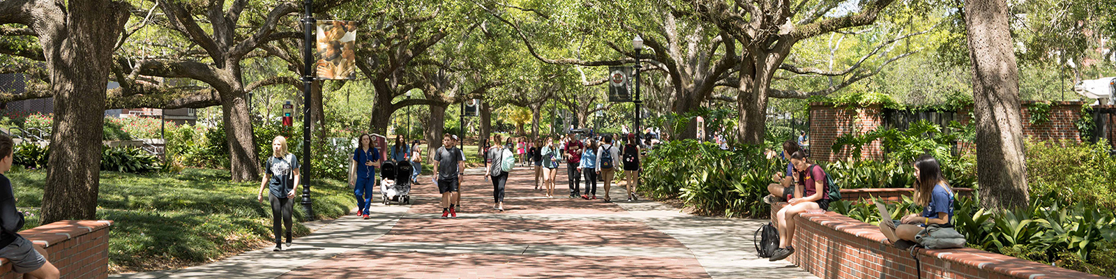 Herbert Wertheim College of Business